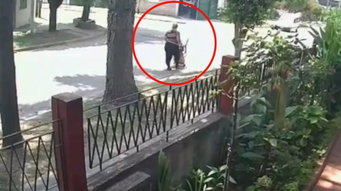 Estremecedor video: un auto chocó con un colectivo y atropelló a una mujer  en Solano