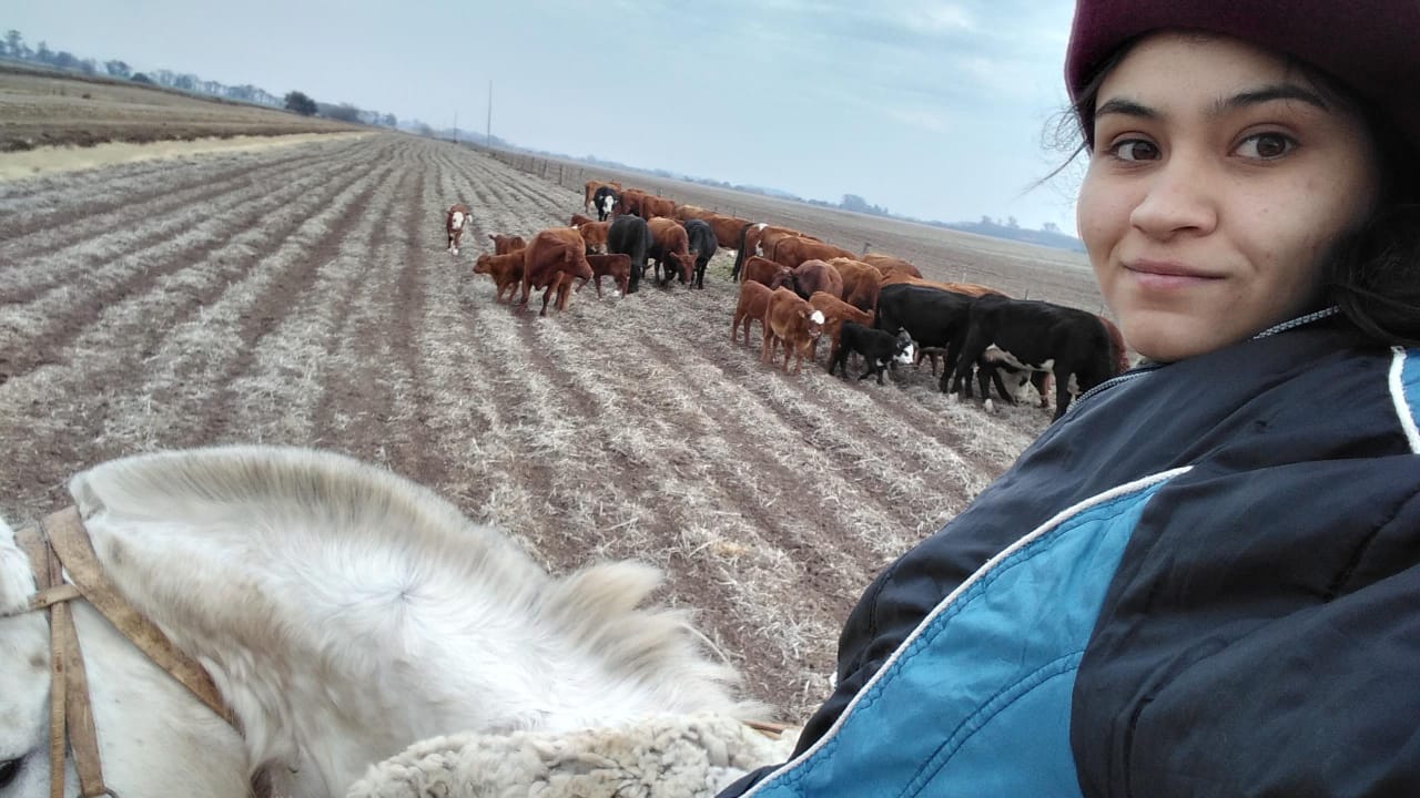 Últimas noticias de Historia | TN