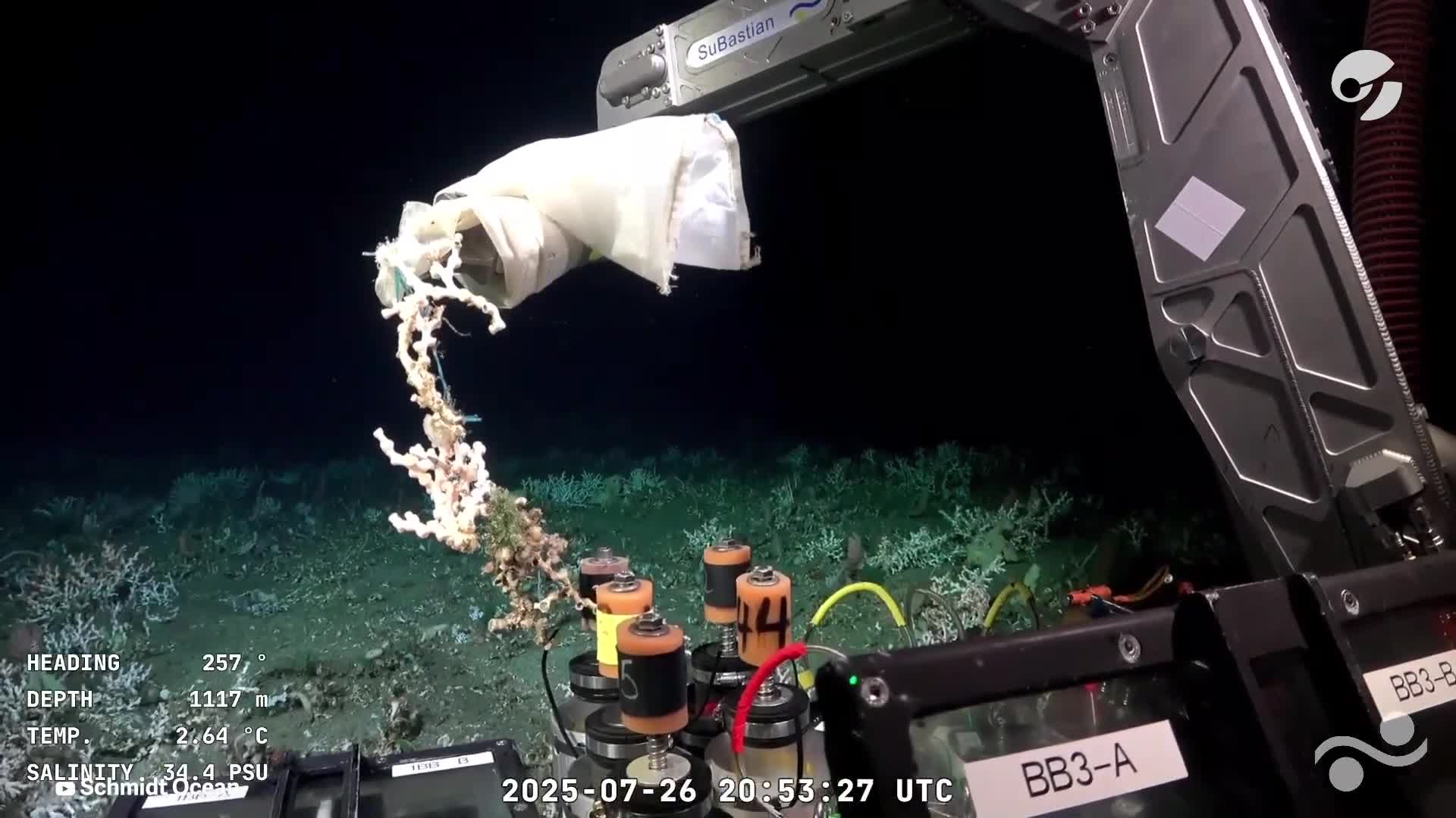 Misterio por el hallazgo de una bolsa con inscripciones chinas a kilómetros de profundidad en Mar del Plata