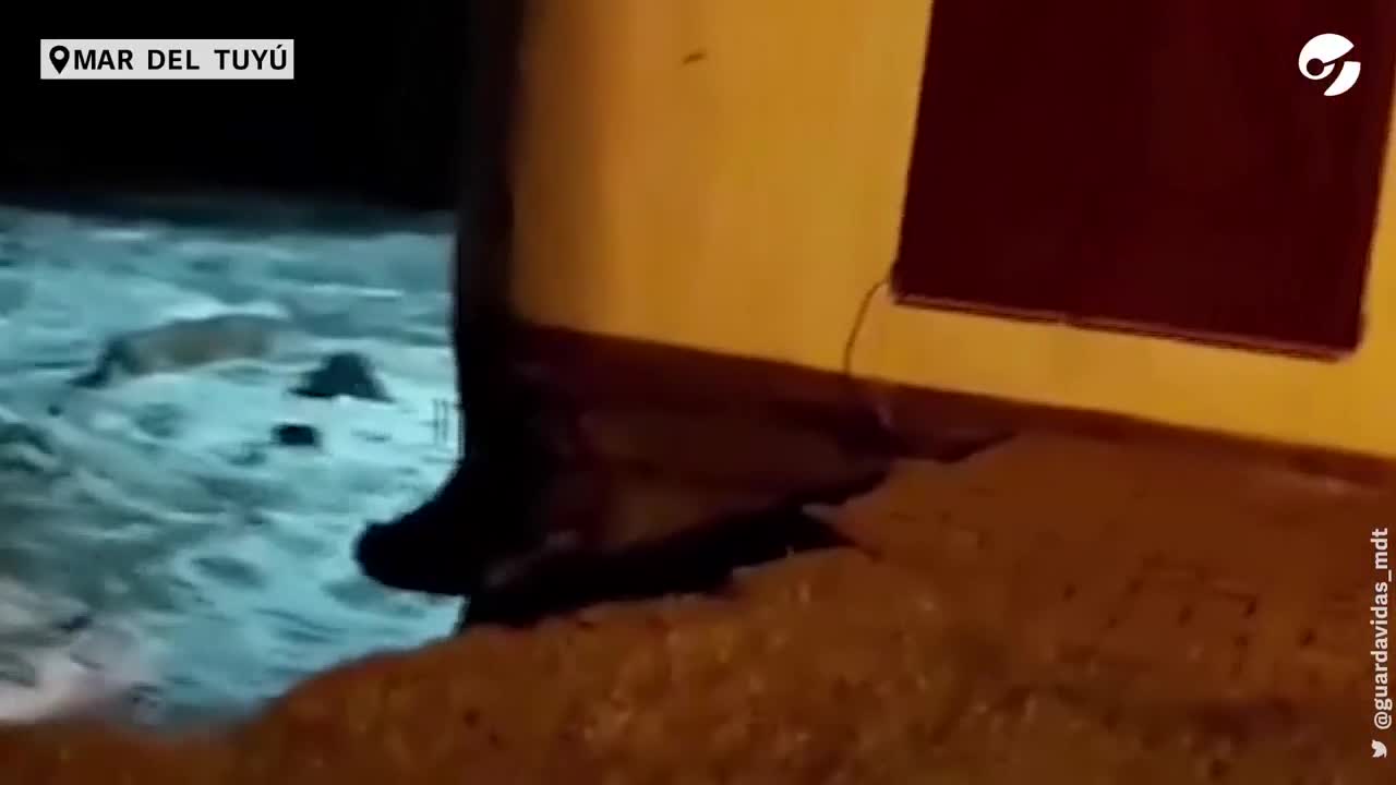 Video: por la crecida del mar en medio de un temporal, las ...