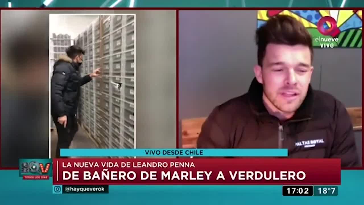 Precio Carne De Potro En Vivo 2021