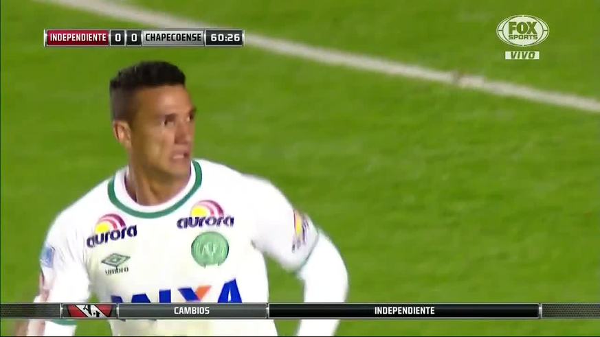 Precio Carne De Potro En Vivo 2021